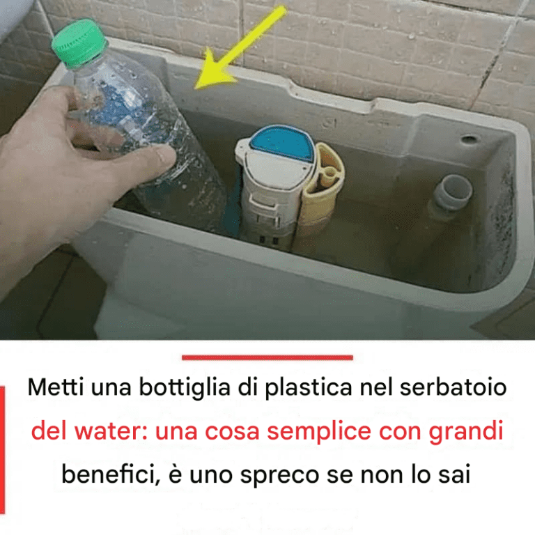 Utilizzare una Bottiglia di Plastica nella Cassetta del Water: Vantaggi e Suggerimenti