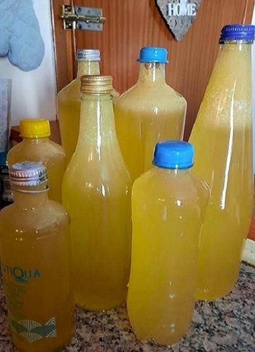 PULISCI I TUOI POLMONI SCIROPPO DI ZENZERO, CIPOLLA E MIELE FATTO IN CASA