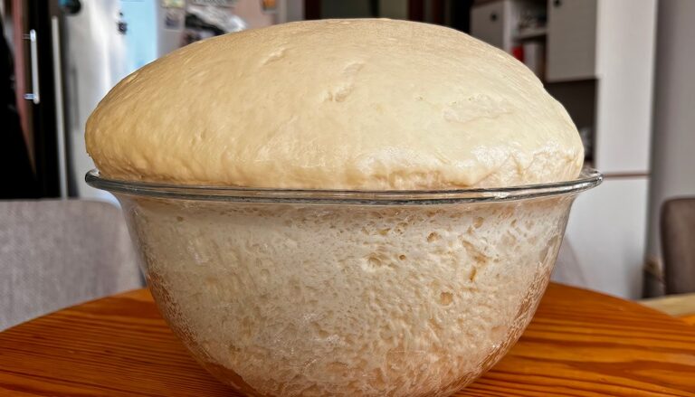 Come preparare l’acqua fermentata: l’alternativa naturale al lievito tradizionale