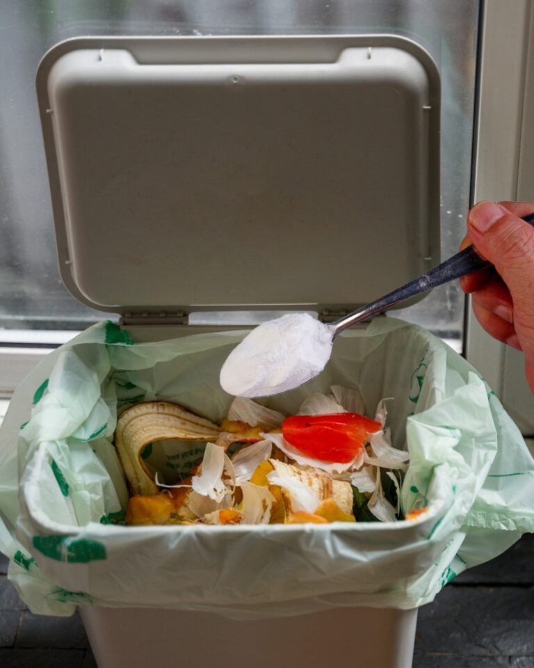 Come Deodorare la Pattumiera di Casa in Modo Naturale: Soluzioni Efficaci e Eco-Friendly