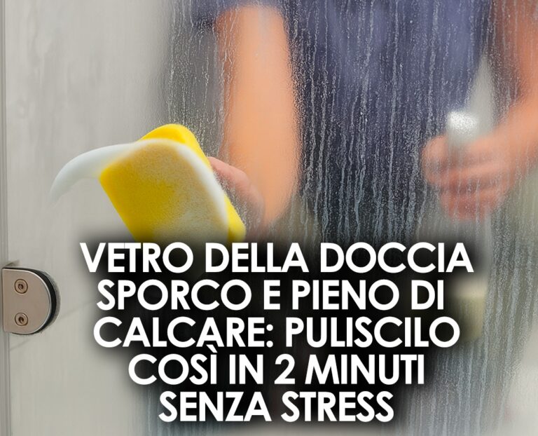 Come pulire e lucidare il box doccia in vetro: usa l’ammorbidente per averlo splendente