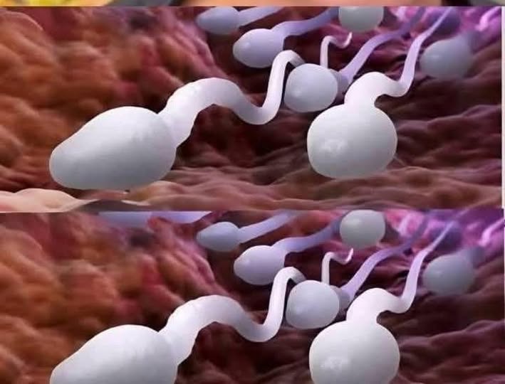 I medici rivelano che deglutire... Leggi di più