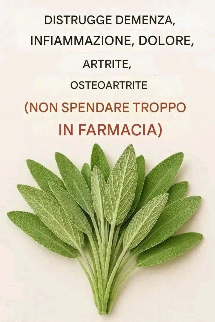 Tutto quello che puoi fare con un singolo pezzo di salvia.