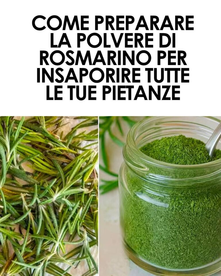 Come Preparare la Polvere di Rosmarino: Una Guida Passo Passo per un Ingredienti Naturale e Benefico