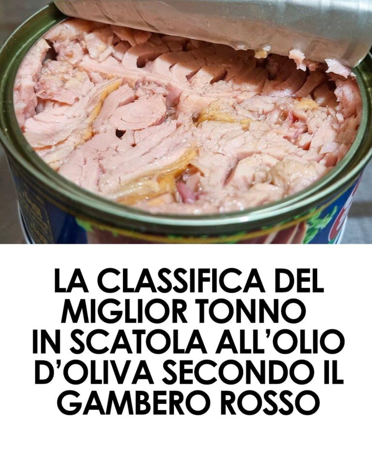 La classifica del miglior tonno in scatola all’olio di oliva secondo Gambero Rosso 2024