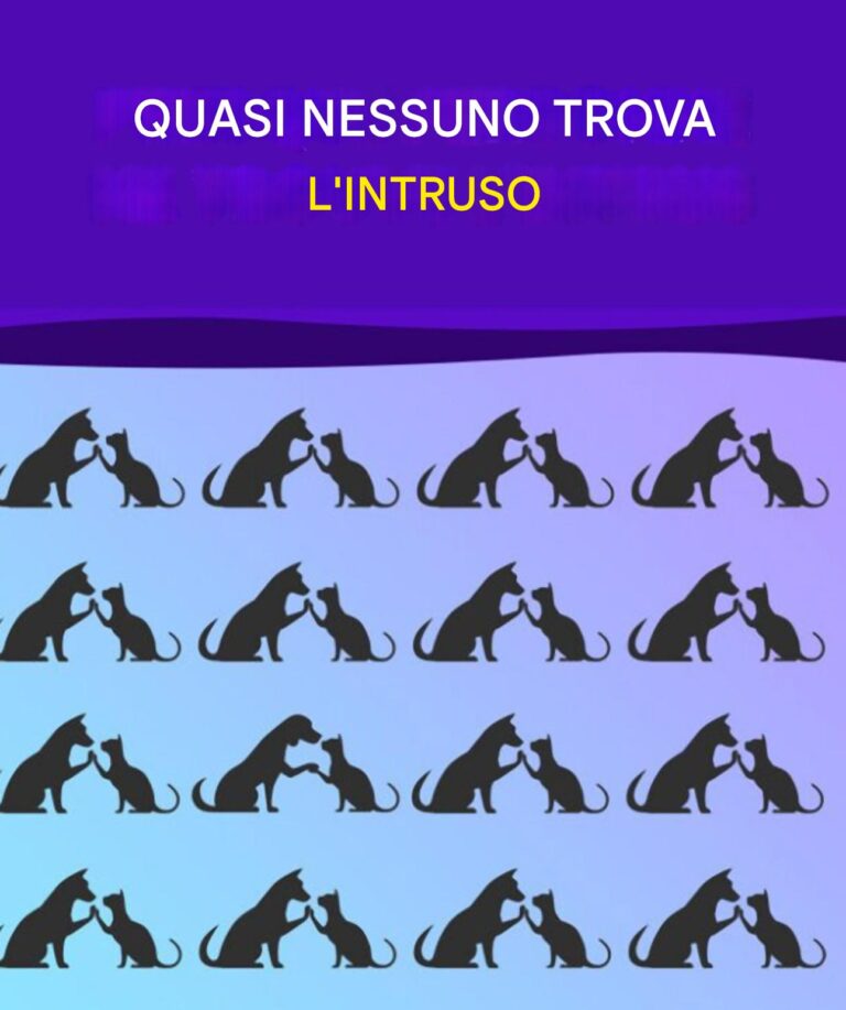 Trova l'intruso e allena il tuo cervello come un campione