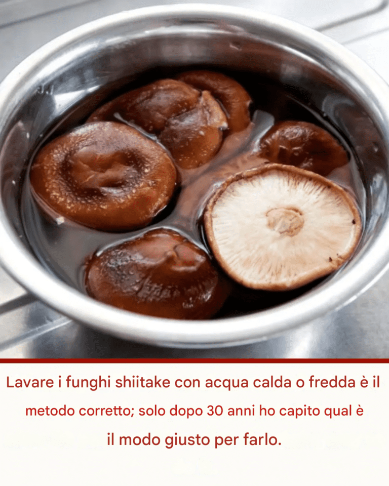 Lavare i funghi shiitake con acqua calda o fredda è il metodo corretto; solo dopo 30 anni ho capito qual è il modo giusto per farlo.
