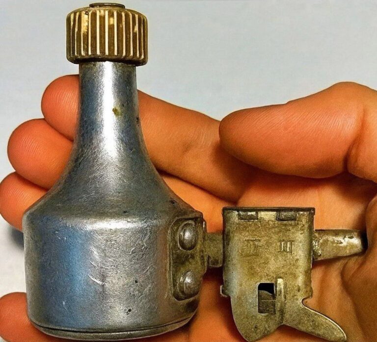 Mio figlio ha trovato questo nel nostro giardino... e ora ci chiediamo cosa sia questa strana cosa. Riconoscete cosa c'è nella foto?