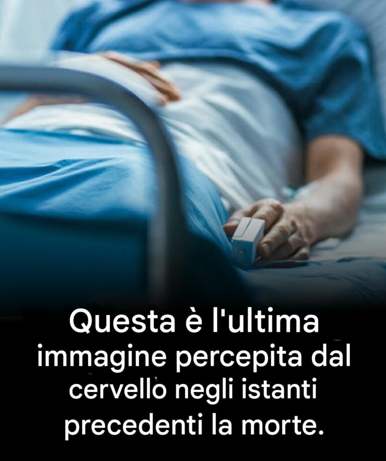 I neurologi svelano la verità: questa è l'ultima immagine percepita dal cervello prima della morte... Scopri di più