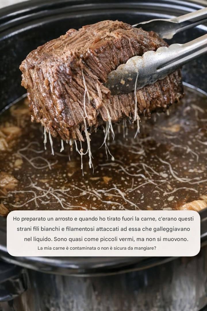 Ho fatto un arrosto e quando ho tirato fuori la carne, c'erano questi strani fili bianchi e filamentosi attaccati e galleggianti nel liquido. Sono quasi come piccoli vermi, ma non si muovono. La mia carne è conta...