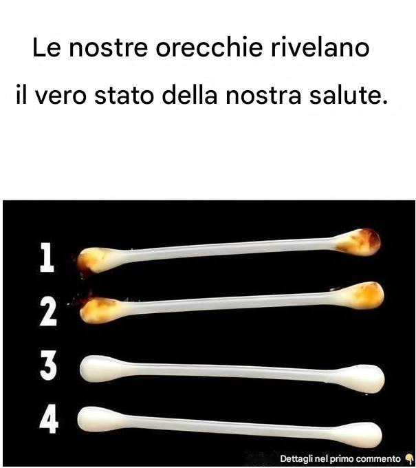 Le nostre orecchie rivelano il vero stato della nostra salute.