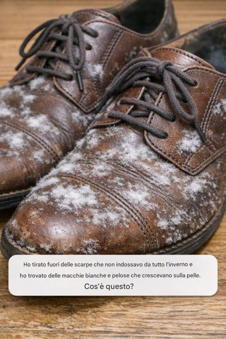 Ho tirato fuori delle scarpe che non ho indossato per tutto l'inverno e ho trovato delle chiazze bianche e pelose sulla pelle. Cosa sono?