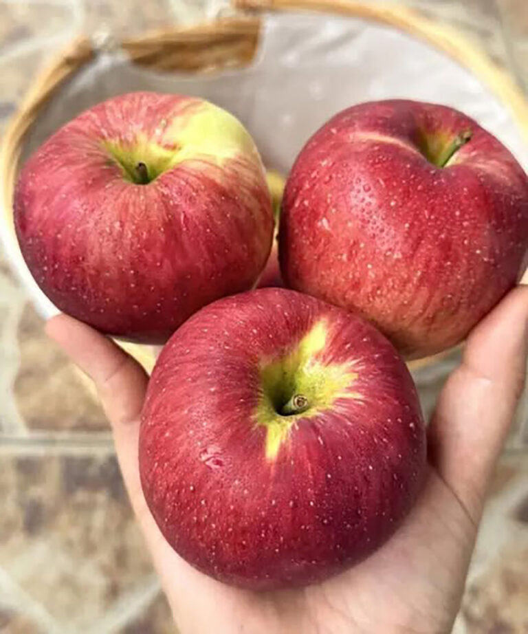 Quali sono i benefici delle mele?