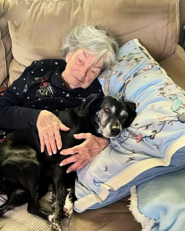 Sono stata l'unica a prendersi cura del cane di mia nonna mentre la famiglia litigava per l'eredità, e quel gesto ha finito per rivelare il segreto che mi aveva lasciato.
